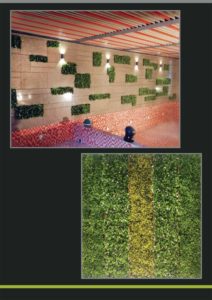 Art-Vertical-Garden-(1)-4